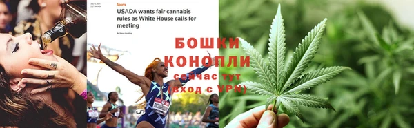 трава Рославль